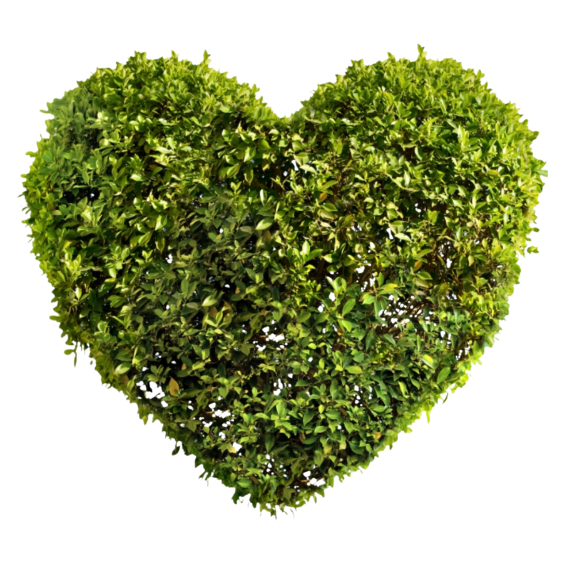 God prunes the heart