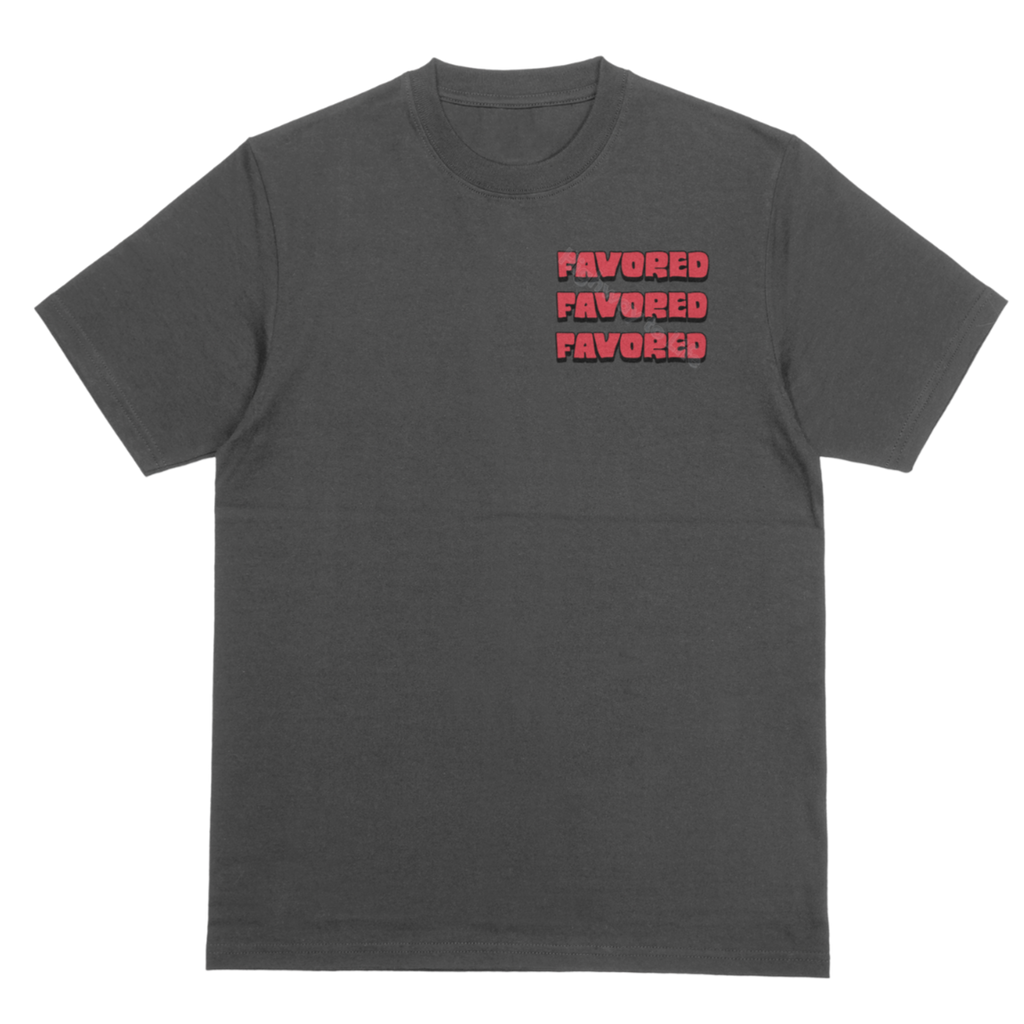 Favor as a shield (red letters), T-shirt
