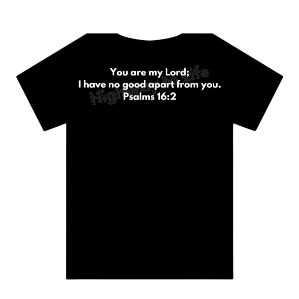 I needed Jesus. T-shirt